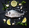 Fresh Fish Orata Over a Black stone with vegetables Royalty Free Stock Photo