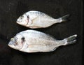 Fresh Fish Orata Over a Black stone with vegetables