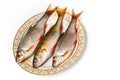 Fresh fish on plate Royalty Free Stock Photo