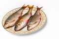 Fresh fish on plate Royalty Free Stock Photo