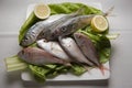 Fresh fish plate Royalty Free Stock Photo