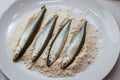 Fresh fish in a plate with flour Royalty Free Stock Photo