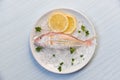 Fresh fish on plate ice with lemon and parsley white table background top view Royalty Free Stock Photo
