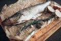 Fresh fish preparation on cutting board, closeup Royalty Free Stock Photo