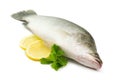 Fresh fish Royalty Free Stock Photo