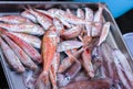 Fresh fish red mullet and seafood squids for sale in the fish market of Catania, Sicily, Italy