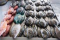 Fresh fish for sale at Apia Seafood Market in Samoa, South Pacific Royalty Free Stock Photo