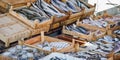 Fresh fish on sale on the market of the harbour of Bodrum Turkey