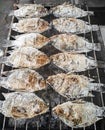 Fresh Fish Salted and Grilled until Crispy Coal. Royalty Free Stock Photo