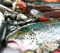 Fresh fish and seafood Royalty Free Stock Photo