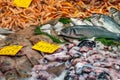 Fresh fish, seafood and crustaceans for sale Royalty Free Stock Photo