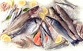 Fresh fish and seafood Royalty Free Stock Photo