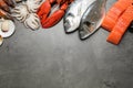 Fresh fish and seafood on grey table, flat lay. Space for text Royalty Free Stock Photo