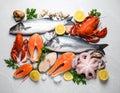 Fresh fish and seafood on grey table, flat lay. Royalty Free Stock Photo