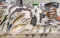 Fresh fish and seafood on ice at supermarket