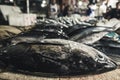 Fresh fish in seafood market on Bali island