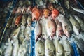 Fresh fish in seafood market in Bali island