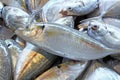 Fresh fish seafood in market closeup background Royalty Free Stock Photo