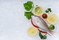 Fresh fish seafood plate with lemon parsley on ice background Royalty Free Stock Photo