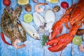 Fresh fish and seafood plate with Shellfish shrimps prawns crab shell squid octopus crab lobster and fish ocean gourmet dinner, Royalty Free Stock Photo