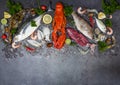 Fresh fish and seafood plate with Shellfish shrimps prawns crab shell squid octopus crab lobster and fish ocean gourmet dinner, Royalty Free Stock Photo