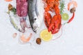 Fresh fish and seafood plate with Shellfish shrimps prawns crab shell squid octopus crab lobster and fish ocean gourmet dinner, Royalty Free Stock Photo