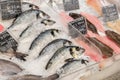 Fresh fish and seafood at supermarket Royalty Free Stock Photo