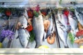 Fresh fish and shrimp on the store counter. seafood on display in the store.