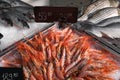Fresh fish and shrimps on ice Royalty Free Stock Photo