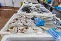 Fresh fish sold on traditional market in Zambujeira do Mar, Portugal