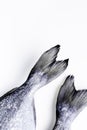 Fresh fish tail close up on a white background. Royalty Free Stock Photo