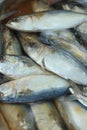 Fresh fish in the tank at the market. Royalty Free Stock Photo