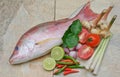 Fresh fish and Thai herbs Royalty Free Stock Photo