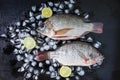 Fresh fish of tilapia on ice with lemon paste.