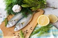 Resh fish with the vegetables, condiment and lemon, bluefish. Food preparation.