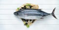 Fresh fish. Whole tuna on white boards background