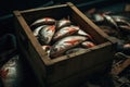 Fresh fish in a wooden crate at a fish market. Dark moody food photography Royalty Free Stock Photo