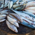 Fresh fishes at the fish market on the beach Royalty Free Stock Photo