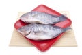 Fresh fishes on plate Royalty Free Stock Photo