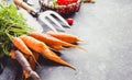 Fresh Harvest Delights. Flat lay composition of carrots, tomatoes, cucumbers, eggplants Royalty Free Stock Photo