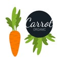 Fresh flat organic carrot isolated