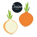 Fresh flat organic onions isolated