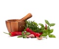 Fresh flavoring herbs and spices in wooden mortar Royalty Free Stock Photo