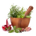 Fresh flavoring herbs and spices in wooden mortar Royalty Free Stock Photo