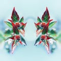 Fresh Floral Mirror Pattern From Red Leaves Against Light Blue