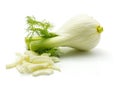 Florence fennel isolated