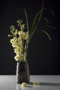 Fresh Flowers in Black Vase Royalty Free Stock Photo