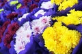 Fresh flowers bouquets in Florist Shop Royalty Free Stock Photo