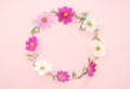 Fresh Flowers composition. Wreath made of various pink flowers kosmey on pink background.