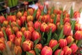 Fresh flowers at farmer market in France, Europe. Italian Spanish and French flowers. Street French market at Nice. Royalty Free Stock Photo